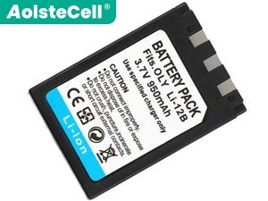 Bateria do Olympus LI-10B