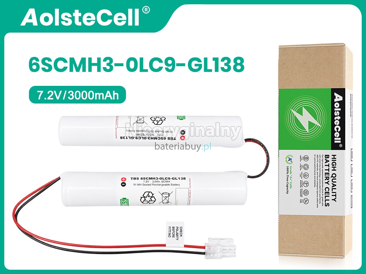 Bateria do Akcesoria Philips 6SCMH3-0LC9-GL138