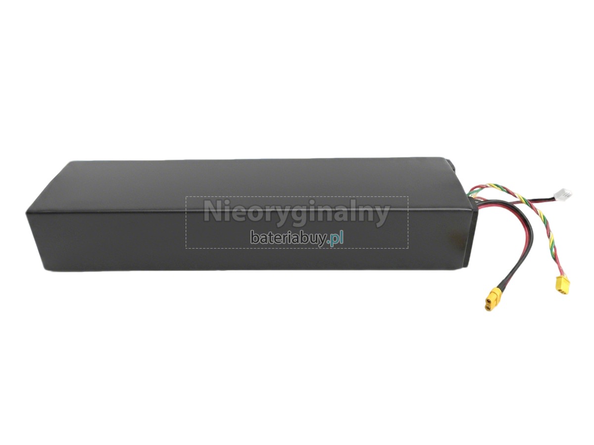 Segway Ninebot H1319-H bateria